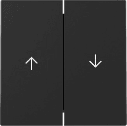 07637f1c-0ddd-4ea8-af05-1be05acfa6ac GIRA 3294005 Wippe 2f Pfeil System 55 Schwarz m Verpackungseinheit:1ST – Bild 1