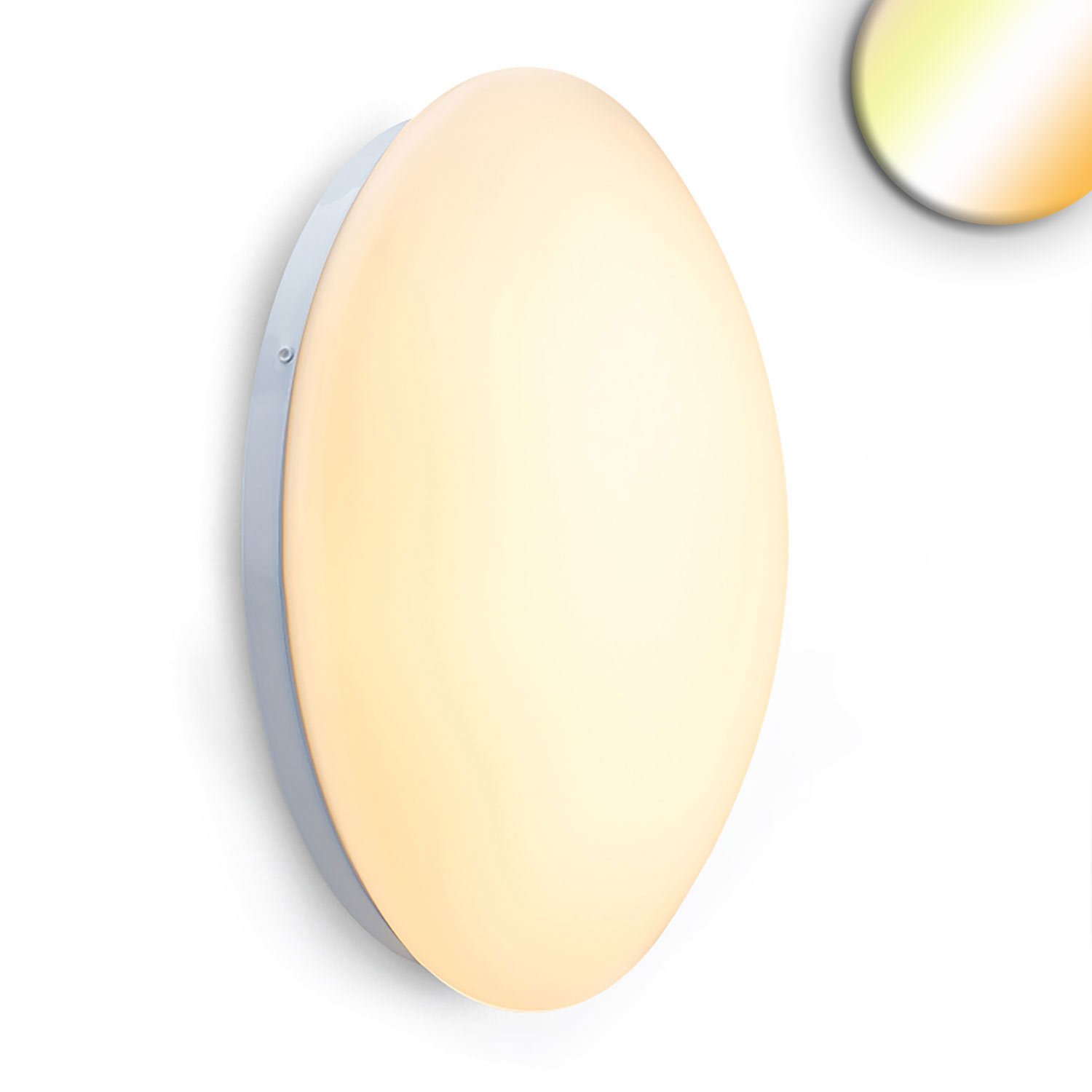 112343_1_iso ISOLED 112343 LED Decken/Wandleuchte weiß, rund, 18W, DN340, IP42, ColorSwitch 2700|3000|4000K – Bild 1