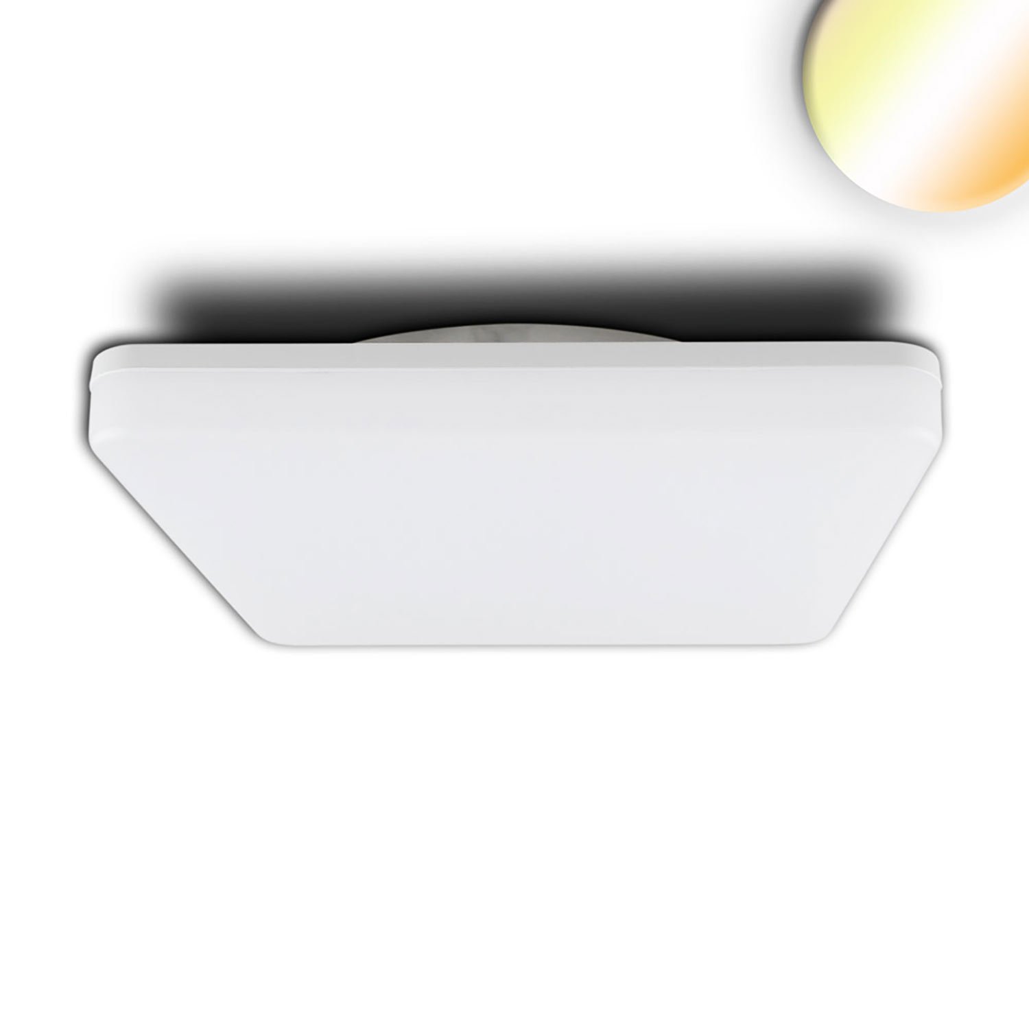 114152_1 ISOLED 114152 LED Decken/Wandleuchte 24W, weiß, eckig, 328x328mm, IP54, ColorSwitch 3000|4000K – Bild 1