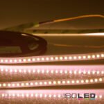 ISOLED 115070 LED CRI Food Flexband Bread, 24V DC, 14,4W, IP20, 5m Rolle, 140 LED/m