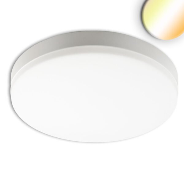ISOLED 115689 LED Decken/Wandleuchte 18W, weiß, IP54, ColorSwitch 3000|4000|5000K
