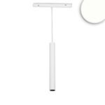 ISOLED 116758 Track48 Hängeleuchte Pipe weiß, 7W, 36°, UGR<19, 48V DC, 4000K, CRI90, DALI dimmbar