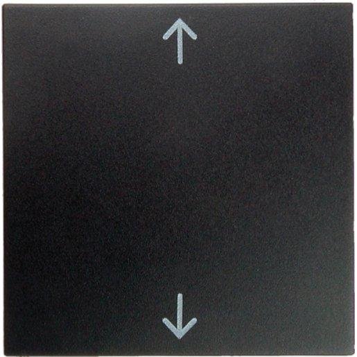 Berker 16201616 Wippe mit Aufdruck Symbol Pfeile B.1/B.3 /B.7 Glas anthrazit matt Verpackungseinheit:1ST