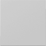 GIRA 3296015 Wippe System 55 Grau m  Verpackungseinheit:1ST