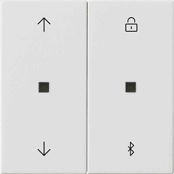 GIRA 536703 SYSTEM 3000 Bedienelement, 2f, reinweiß, geeignet für Jalousieeinsatz, geeignet für Schalteinsatz, glänzend