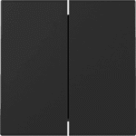 GIRA 3295005 Wippe 2f System 55 Schwarz m  Verpackungseinheit:1ST