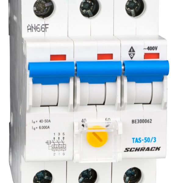 BE300062-- Tarifschalter 50 A, 3-polig, Serie TAS, Bereich 40 - 50A<br><u>Verkaufseinheit: 1Stk</u>
