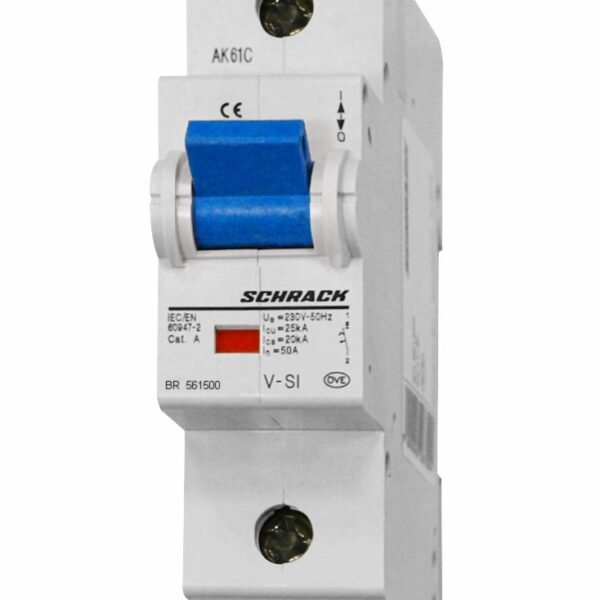 BR561500-- Vorzählersicherungsautomat 50A, 1-polig, ähnlich Kennlinie D<br><u>Verkaufseinheit: 1Stk</u>