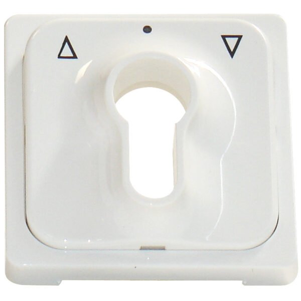 EL203034-- Zentralplatte für Schlüsselschalter, reinweiß<br><u>Verkaufseinheit: 1Stk</u>