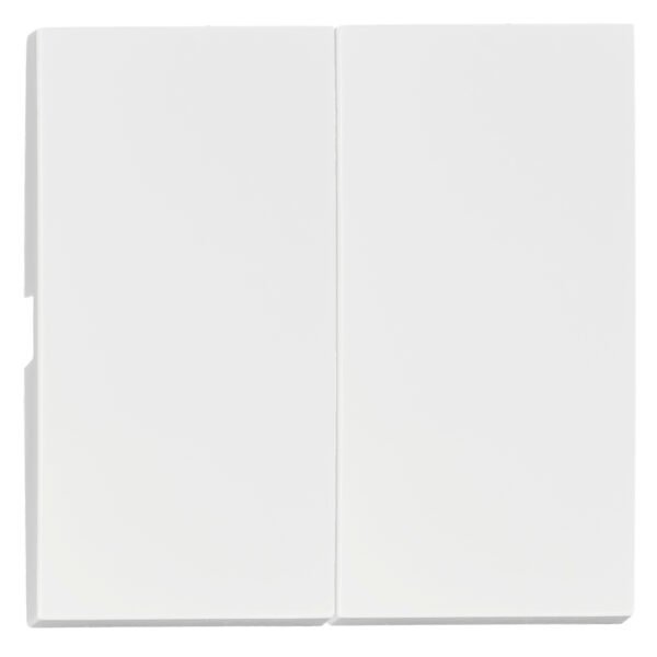 EV102202-- Wippe S 50 für Serien-, Doppelwechselschalter, Doppeltast, w<br><u>Verkaufseinheit: 1Stk</u>