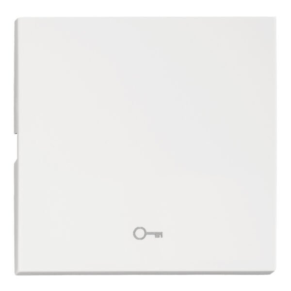 EV102204-- Wippe S 50 mit Symbol Schlüssel, weiß<br><u>Verkaufseinheit: 1Stk</u>