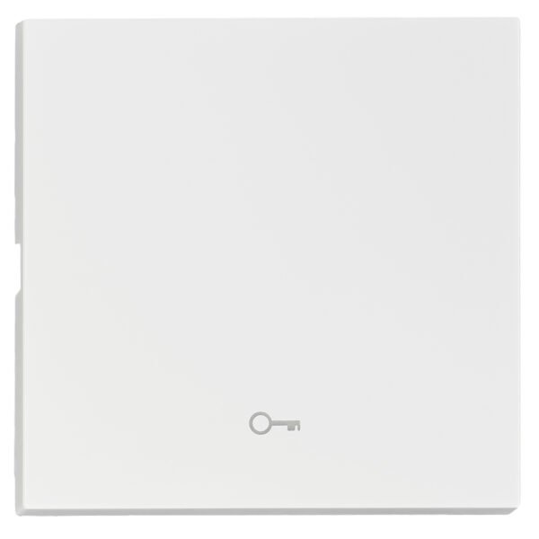 EV102304-- Wippe S 55 mit Symbol Schlüssel, weiß<br><u>Verkaufseinheit: 1Stk</u>