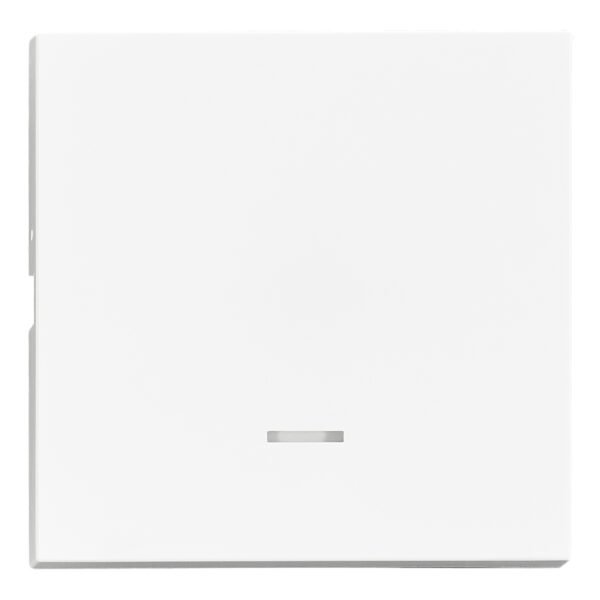 EV102307-- Wippe S 55 mit transparenter Linse, weiß<br><u>Verkaufseinheit: 1Stk</u>