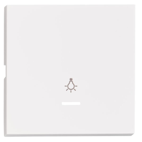 EV102309-- Wippe S 55 mit transparenter Linse, Symbol Licht, weiß<br><u>Verkaufseinheit: 1Stk</u>