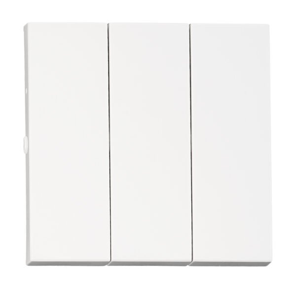 EV102316-- Wippe S 55 für Ausschalter 3 fach, weiß<br><u>Verkaufseinheit: 1Stk</u>