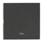EV112204-- Wippe S 50 mit Symbol Schlüssel, anthrazit<br><u>Verkaufseinheit: 1Stk</u>