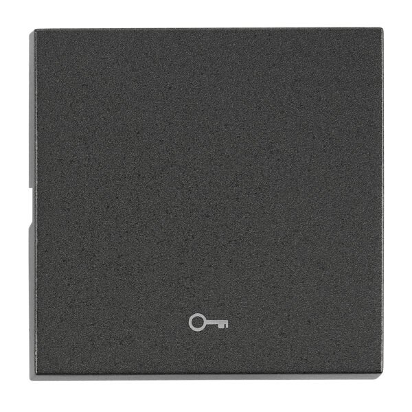 EV112204-- Wippe S 50 mit Symbol Schlüssel, anthrazit<br><u>Verkaufseinheit: 1Stk</u>