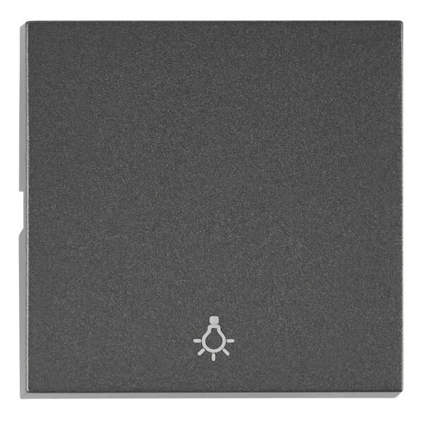 EV112205-- Wippe S 50 mit Symbol Licht, anthrazit<br><u>Verkaufseinheit: 1Stk</u>