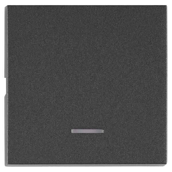 EV112207-- Wippe S 50 mit transparenter Linse, anthrazit<br><u>Verkaufseinheit: 1Stk</u>