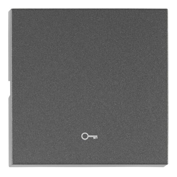 EV112304-- Wippe S 55 mit Symbol Schlüssel, anthrazit<br><u>Verkaufseinheit: 1Stk</u>