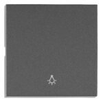 EV112305-- Wippe S 55 mit Symbol Licht, anthrazit<br><u>Verkaufseinheit: 1Stk</u>