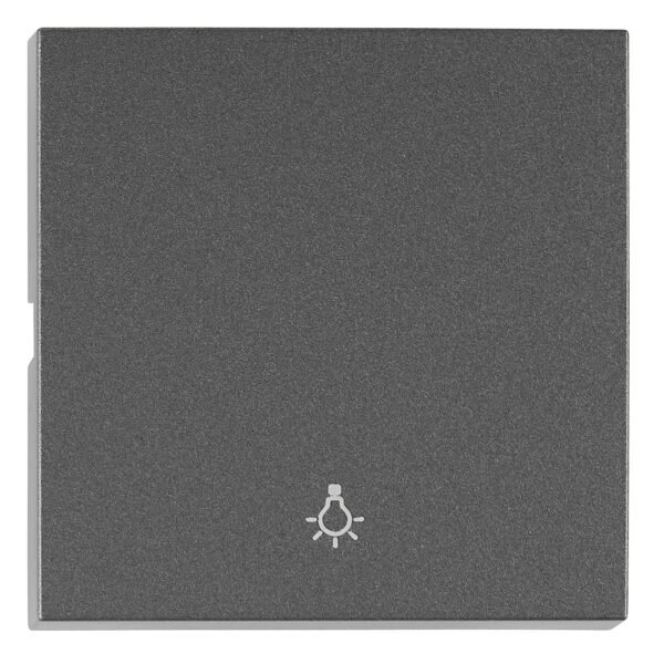 EV112305-- Wippe S 55 mit Symbol Licht, anthrazit<br><u>Verkaufseinheit: 1Stk</u>