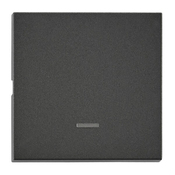 EV112307-- Wippe S 55 mit transparenter Linse, anthrazit<br><u>Verkaufseinheit: 1Stk</u>