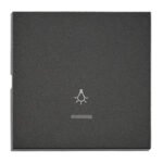 EV112309-- Wippe S 55 mit transparenter Linse, Symbol Licht, anthrazit<br><u>Verkaufseinheit: 1Stk</u>