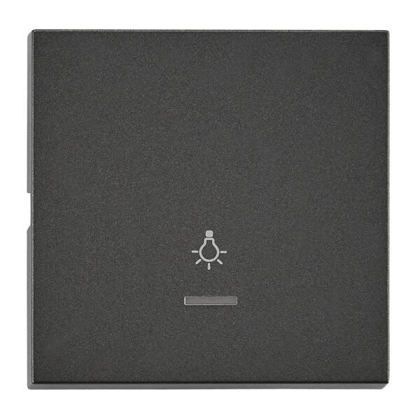 EV112309-- Wippe S 55 mit transparenter Linse, Symbol Licht, anthrazit<br><u>Verkaufseinheit: 1Stk</u>