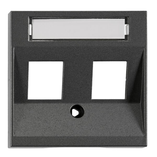 EV114304-- Abdeckung für RJ45 Toolless Line Module, 2-fach, anthrazit<br><u>Verkaufseinheit: 1Stk</u>
