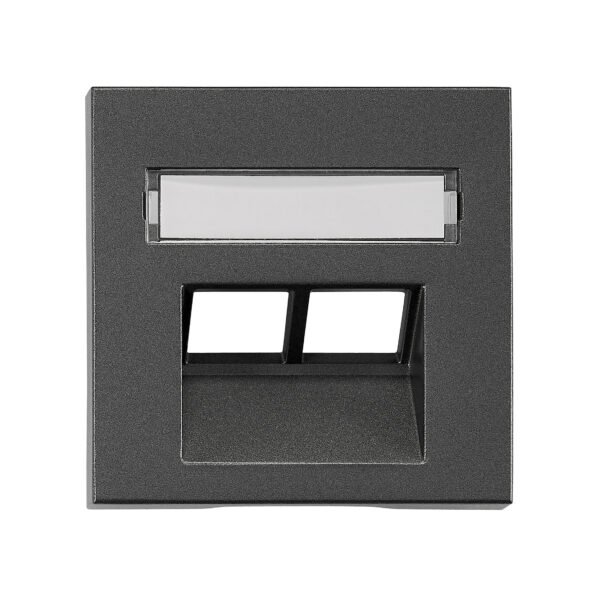 EV114312-- Abdeckung für RJ45 UAE Dose mit Schriftfeld, 2-fach, anthraz<br><u>Verkaufseinheit: 1Stk</u>