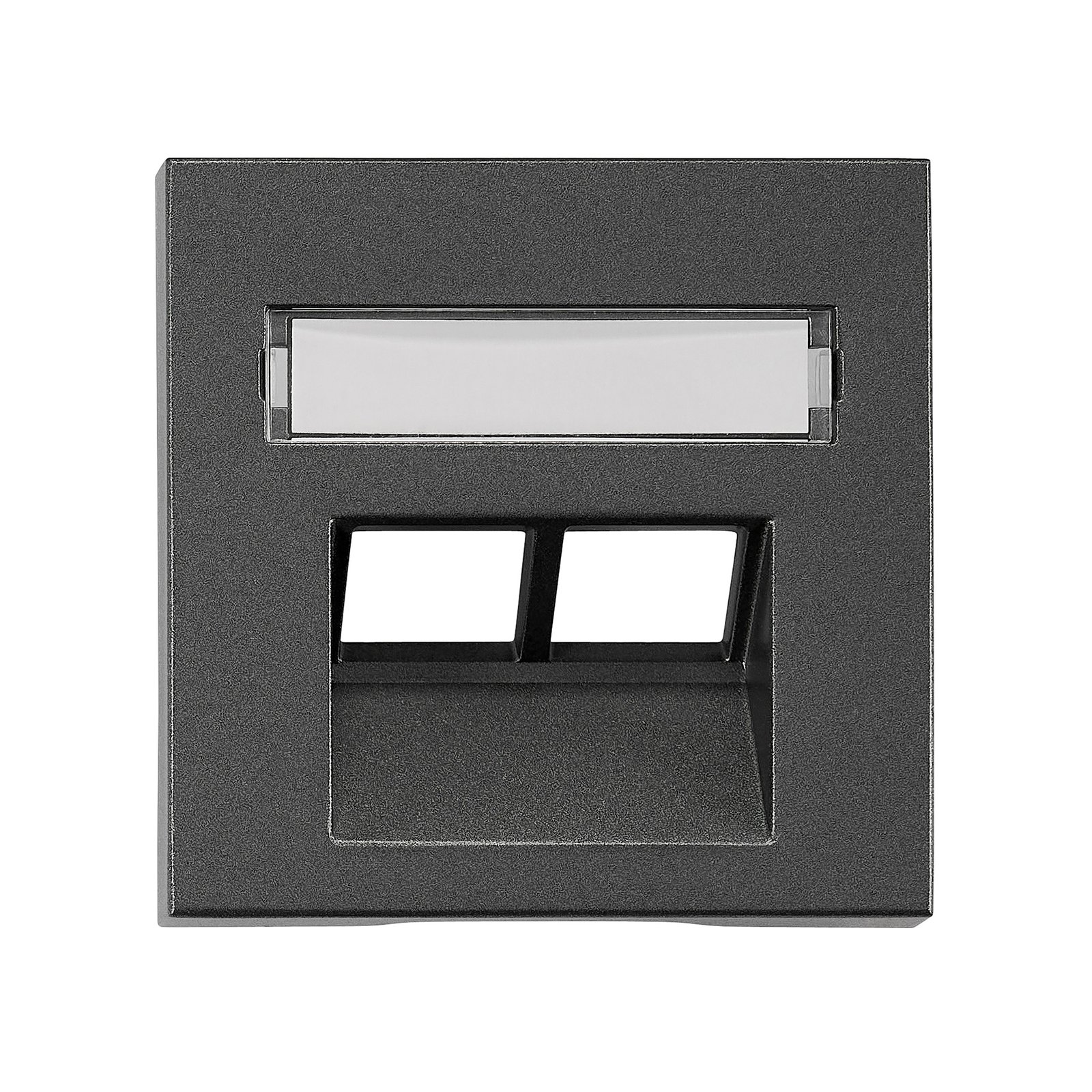 f_ev114312- EV114312-- Abdeckung für RJ45 UAE Dose mit Schriftfeld, 2-fach, anthraz<br><u>Verkaufseinheit: 1Stk</u> – Bild 1