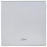 EV122004-- Wippe 50 mit Symbol Schlüssel, Silber<br><u>Verkaufseinheit: 1Stk</u>