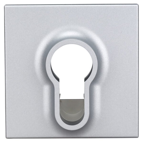 EV122018-- Abdeckung für Schlüsselschalter, Silber<br><u>Verkaufseinheit: 1Stk</u>