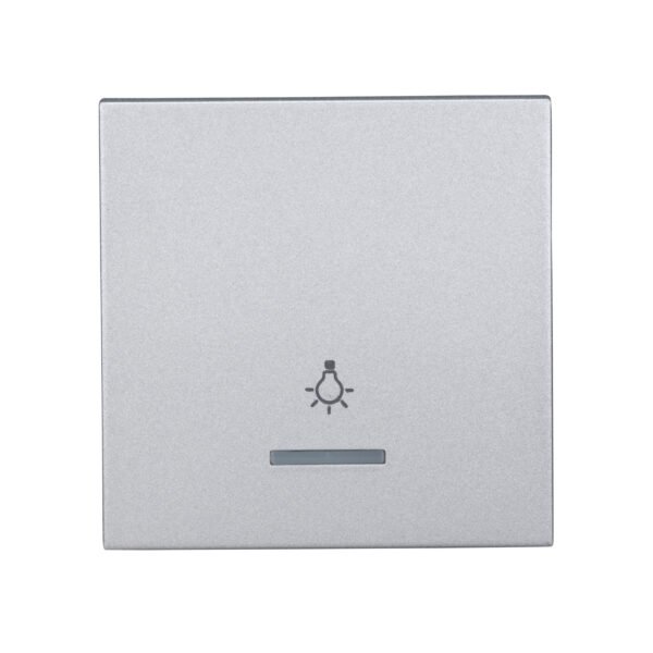 EV122309-- Wippe S 55 mit transparenter Linse, Symbol Licht, Silber<br><u>Verkaufseinheit: 1Stk</u>