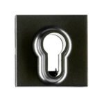 EV132018-- Abdeckung für Schlüsselschalter, schwarz<br><u>Verkaufseinheit: 1Stk</u>