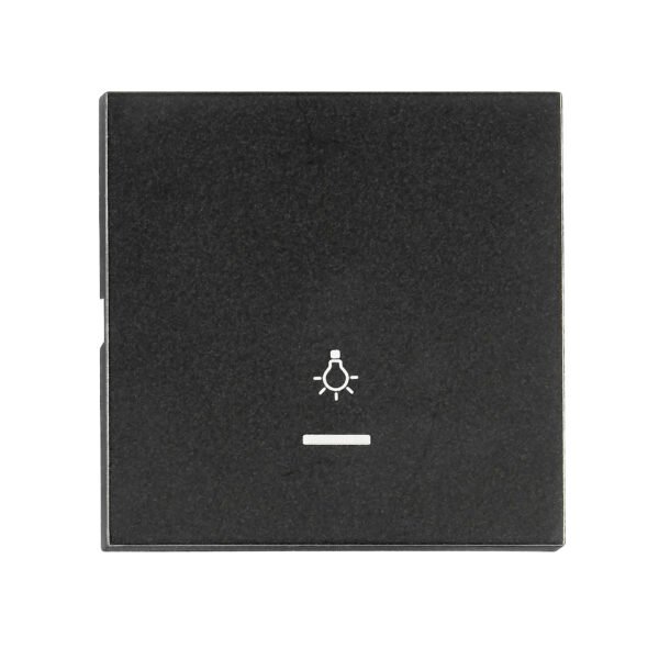 EV132309-- Wippe S 55 mit transparenter Linse, Symbol Licht, schwarz<br><u>Verkaufseinheit: 1Stk</u>