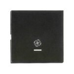 EV132319-- Wippe S 55 mit transparenter Linse, Symbol Lüfter, schwarz<br><u>Verkaufseinheit: 1Stk</u>