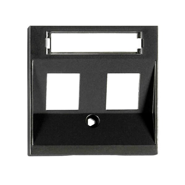 EV134304-- Abdeckung für RJ45 Toolless Line Module, 2-fach, schwarz<br><u>Verkaufseinheit: 1Stk</u>