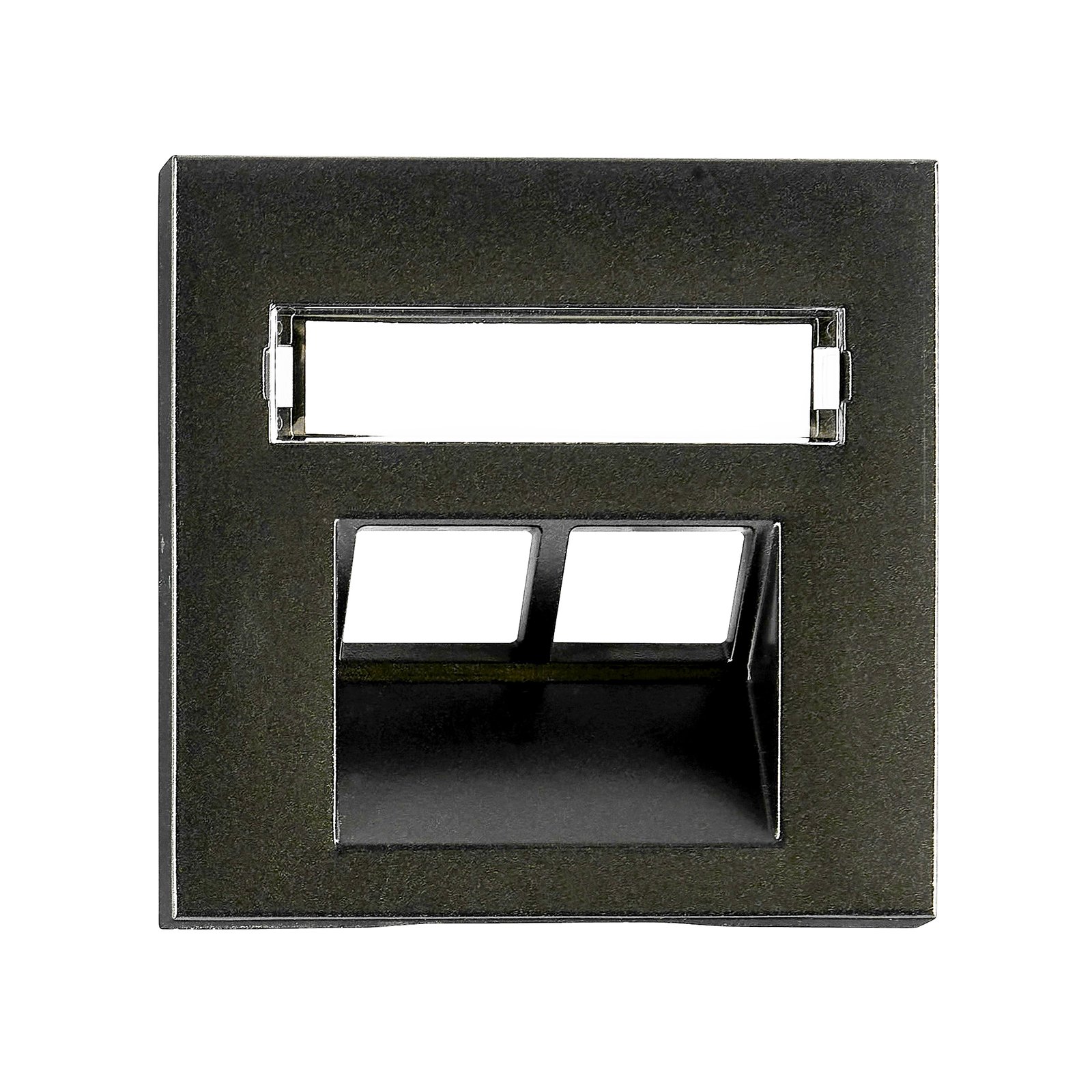 f_ev134312- EV134312-- Abdeckung für RJ45 UAE Dose mit Schriftfeld, 2-fach, schwarz<br><u>Verkaufseinheit: 1Stk</u> – Bild 1