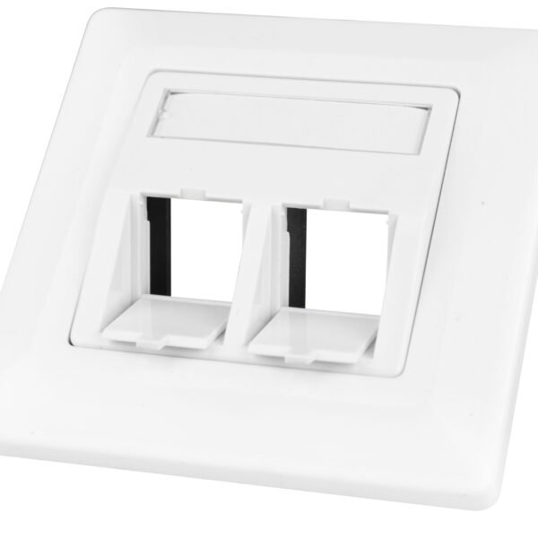 HSED02UW2S Datendose 80x80mm leer 2 Module (SFA)(SFB), schräg, RAL9010<br><u>Verkaufseinheit: 1Stk</u>