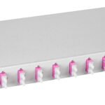 HSELS244CG LWL Spleißbox, 24Fasern, SC,50/125µm OM4, 19", 1HE, Klasse B<br><u>Verkaufseinheit: 1Stk</u>