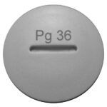 M273204--- Blindverschraubung PG 36<br><u>Verkaufseinheit: 1Stk</u>