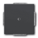 BUSCH-JAEGER 2CKA001710A3900 Leitungsauslass - Zentralscheibe div. Flächenprogramme, schwarz matt 1749-885 Verpackungseinheit:1ST