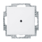 BUSCH-JAEGER 2CKA001715A0319 Blindzentralscheibe mit Tragring Balance SI alpinweiß 2538-914 Verpackungseinheit:1ST