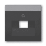 BUSCH-JAEGER 2CKA001710A3912 Zentralscheibe 1-fach für RJ45 Dosen div. Flächenprogramme, schwarz matt 1803-885 Verpackungseinheit:1ST