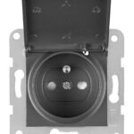 EV111253-- Steckdose mit Erdungsstift, Klappdeckel, Steckklemmen, anth<br><u>Verkaufseinheit: 1Stk</u>