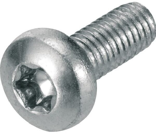 Schweizer 21348 Schweizer Schraube M6,3x22 (blitzstromtragfähig) Verpackungseinheit:200Stück