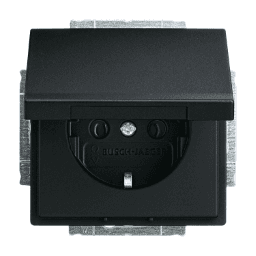 6ea3b584-a83d-4d11-a308-69f7ccaec849 BUSCH-JAEGER 2CKA002018A1495 Steckdose mit Klappdeckel div. Flächenprogramme, schwarz matt 20 EUK-885 Verpackungseinheit:1ST – Bild 1