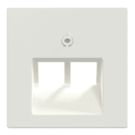 MERTEN 296119 Zentralplatte für UAE-Einsatz, 2fach, po larweiß glänzend, System M  Verpackungseinheit:1ST